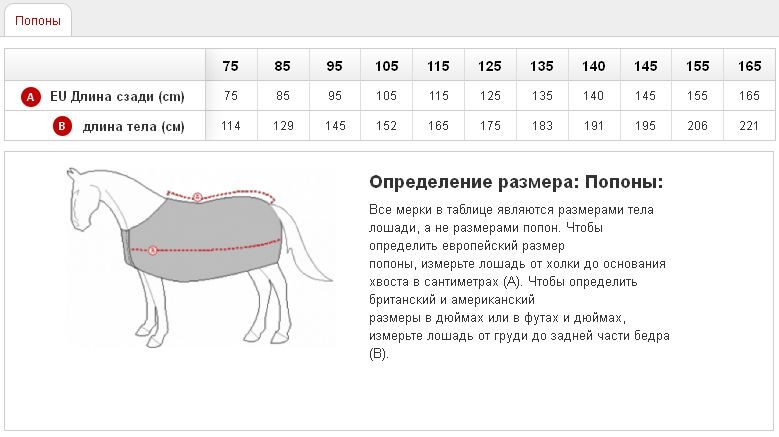 Как сшить вальтрап на лошадь 861